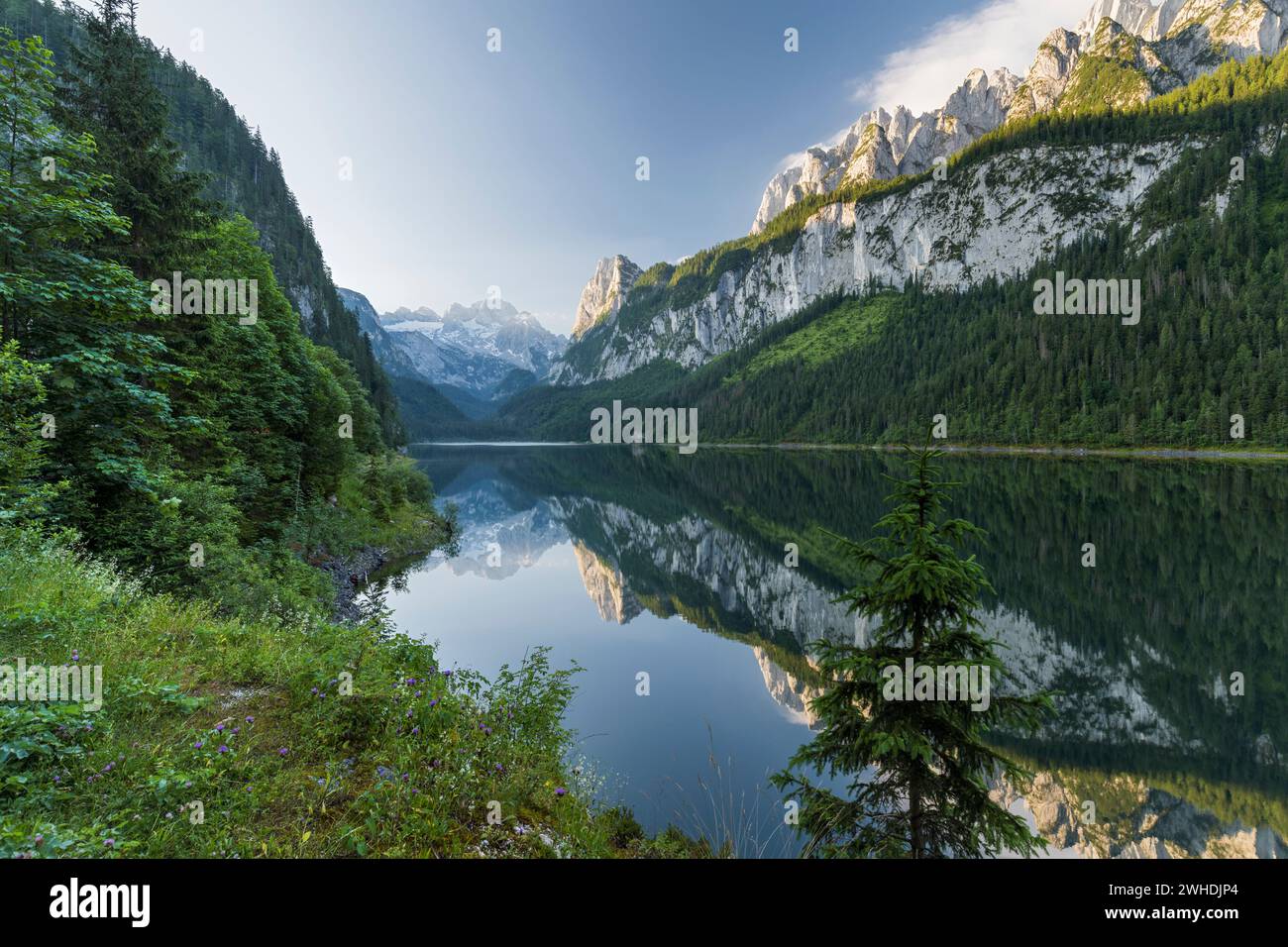 Lac Gosau, Dachstein, Salzkammergut, haute-Autriche, Autriche Banque D'Images