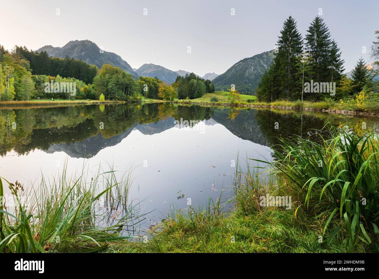 Étang de mouillage près d'Oberstdorf, Alpes de Allgäu, Allgäu, Bavière, Allemagne Banque D'Images