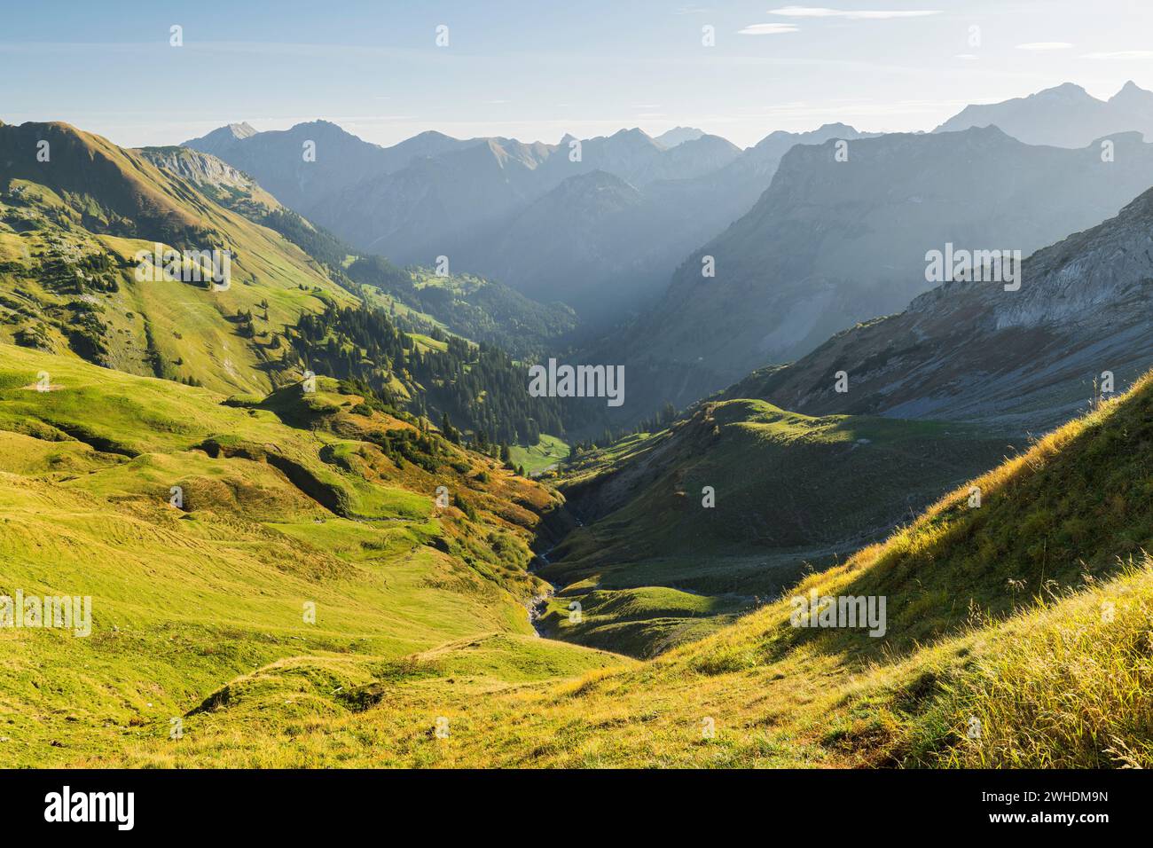 Vue du Zeiger dans la vallée de Hinterstein, Alpes de Allgäu, Allgäu, Bavière, Allemagne Banque D'Images