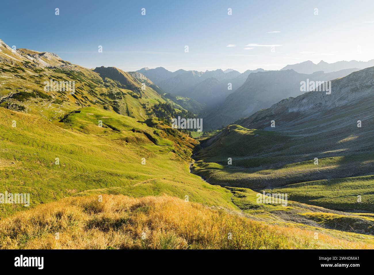 Vue du Zeiger dans la vallée de Hinterstein, Alpes de Allgäu, Allgäu, Bavière, Allemagne Banque D'Images