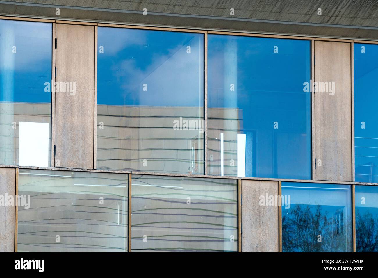 Dresde, Nouvelle synagogue, reflet dans les fenêtres du centre communautaire Banque D'Images