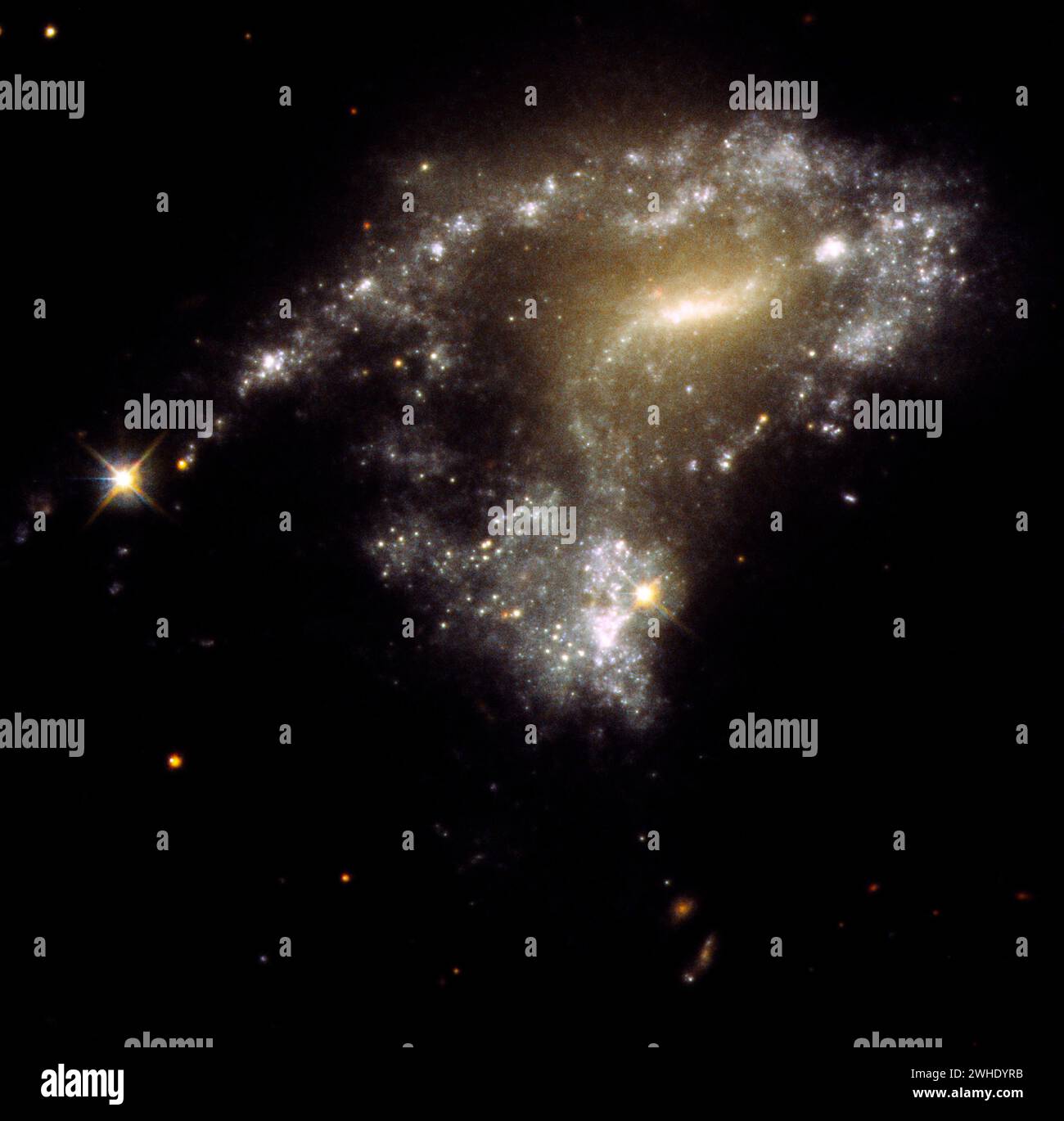 Spacec. 8 février 2024. La GALAXIE AM 1054-325 a été déformée en forme de S à partir d'une spirale normale en forme de crêpe par l'attraction gravitationnelle d'une galaxie voisine, vue dans cette image du télescope spatial Hubble de la NASA. Une conséquence de cela est que des amas d'étoiles nouveau-nés se forment le long d'une queue de marée étirée pendant des milliers d'années-lumière, ressemblant à une chaîne de perles. Ils se forment lorsque les nœuds de gaz s'effondrent gravitationnellement pour créer environ 1 million d'étoiles nouveau-nées par amas. (Crédit image : © STScI/NASA/ZUMA Press Wire) USAGE ÉDITORIAL SEULEMENT! Non destiné à UN USAGE commercial ! Banque D'Images