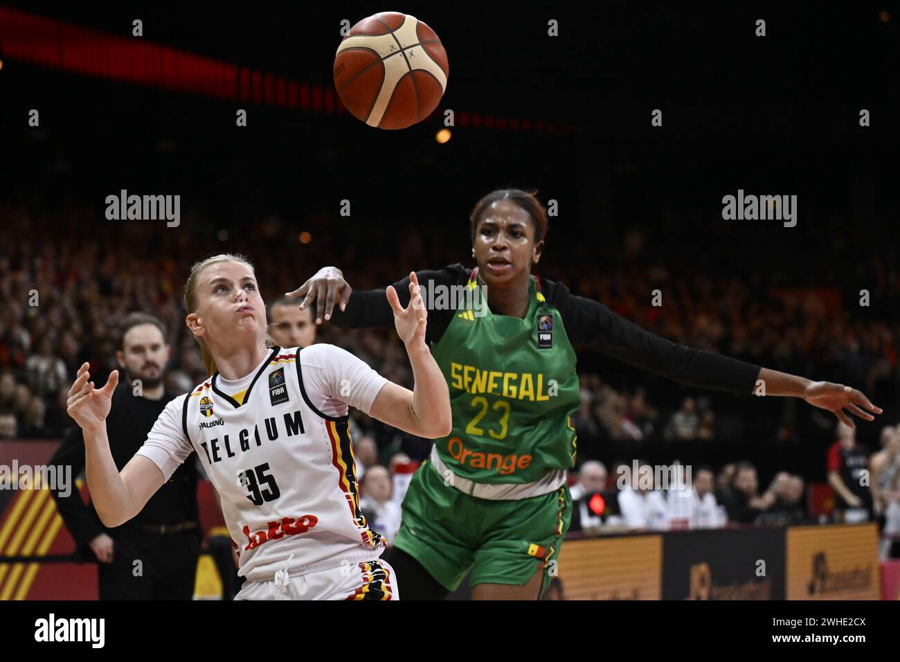 Anvers, Belgique. 09th Feb, 2024. La belge Julie Vanloo et la sénégalaise Mathilde Diop photographiées lors d'un match de basket-ball entre l'équipe nationale belge féminine 'The Belgian Cats' et le Sénégal, vendredi 09 février 2024 à Anvers, lors du tournoi de qualification de basket-ball féminin FIBA pour les Jeux olympiques d'été de 2024 à Paris, France. BELGA PHOTO DIRK WAEM crédit : Belga News Agency/Alamy Live News Banque D'Images