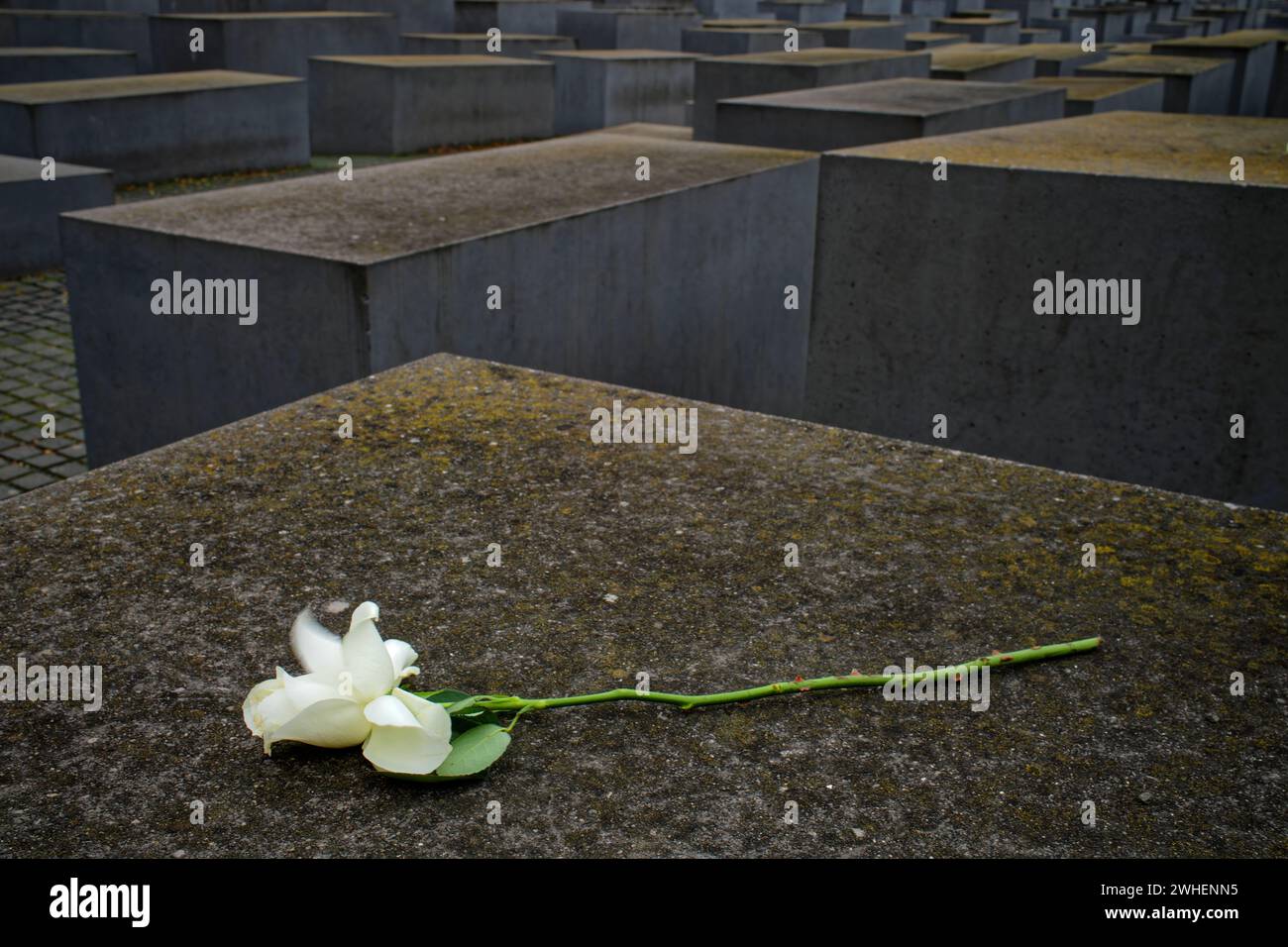 '09.11.2023, Allemagne, Berlin, Berlin - Mémorial aux Juifs assassinés d'Europe. Le mémorial est un mémorial dédié aux victimes de l'Holocauste. Banque D'Images