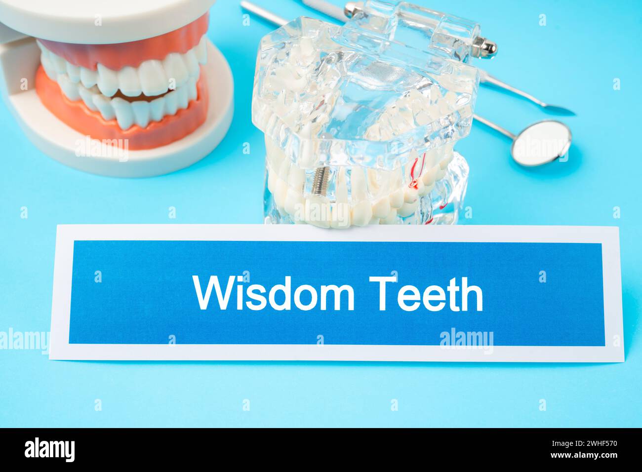 Modèle de dents et outils dentaires sur fond bleu, concepts dentaires de dents de sagesse. Banque D'Images