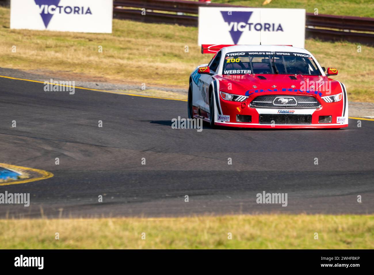 Sandown Park, Australie. 10 février 2024. Joshua Webster (#200) se dirige vers le virage 2 lors des qualifications pour la série Trico TRANS Am 2024 samedi à la Shannon’s Speed Series Race Sandown Credit : James Forrester/Alamy Live News Banque D'Images