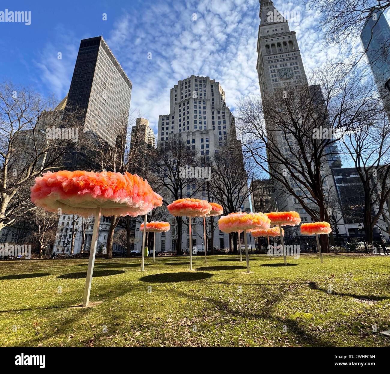 New York, New York, États-Unis. 9 février 2024. Une vue de l'exposition d'art publique de l'artiste Ana Maria Hernando 'To Let the Sky Know/ Dejar que el cielo sepa' qui s'est tenue au Madison Square Park à Nomad. Ana Maria Hernando utilise le tulle, un filet de tissu, pour créer des sculptures inspirées de formes naturelles et transformées par le processus de couture. (Crédit image : © Nancy Kaszerman/ZUMA Press Wire) USAGE ÉDITORIAL SEULEMENT! Non destiné à UN USAGE commercial ! Banque D'Images