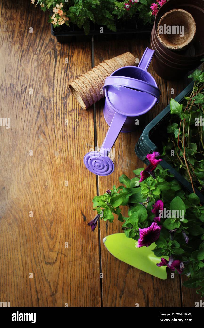 Outils de jardinage et de fleurs sur fond de bois Banque D'Images