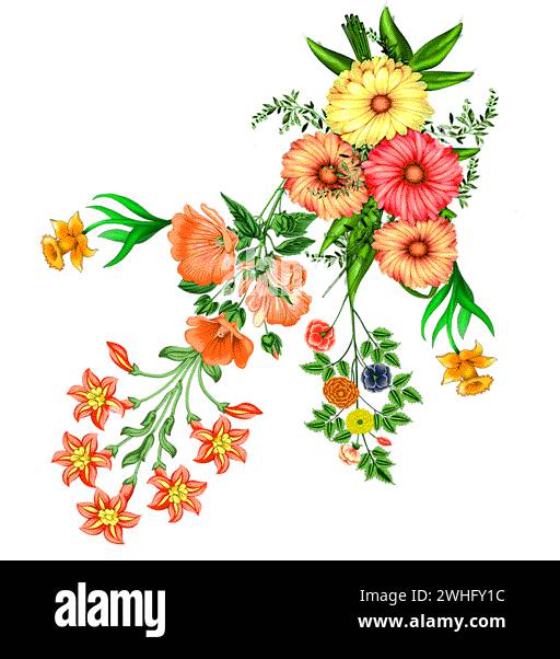 design de fleur numérique textile dans un beau design de couleur Illustration de Vecteur