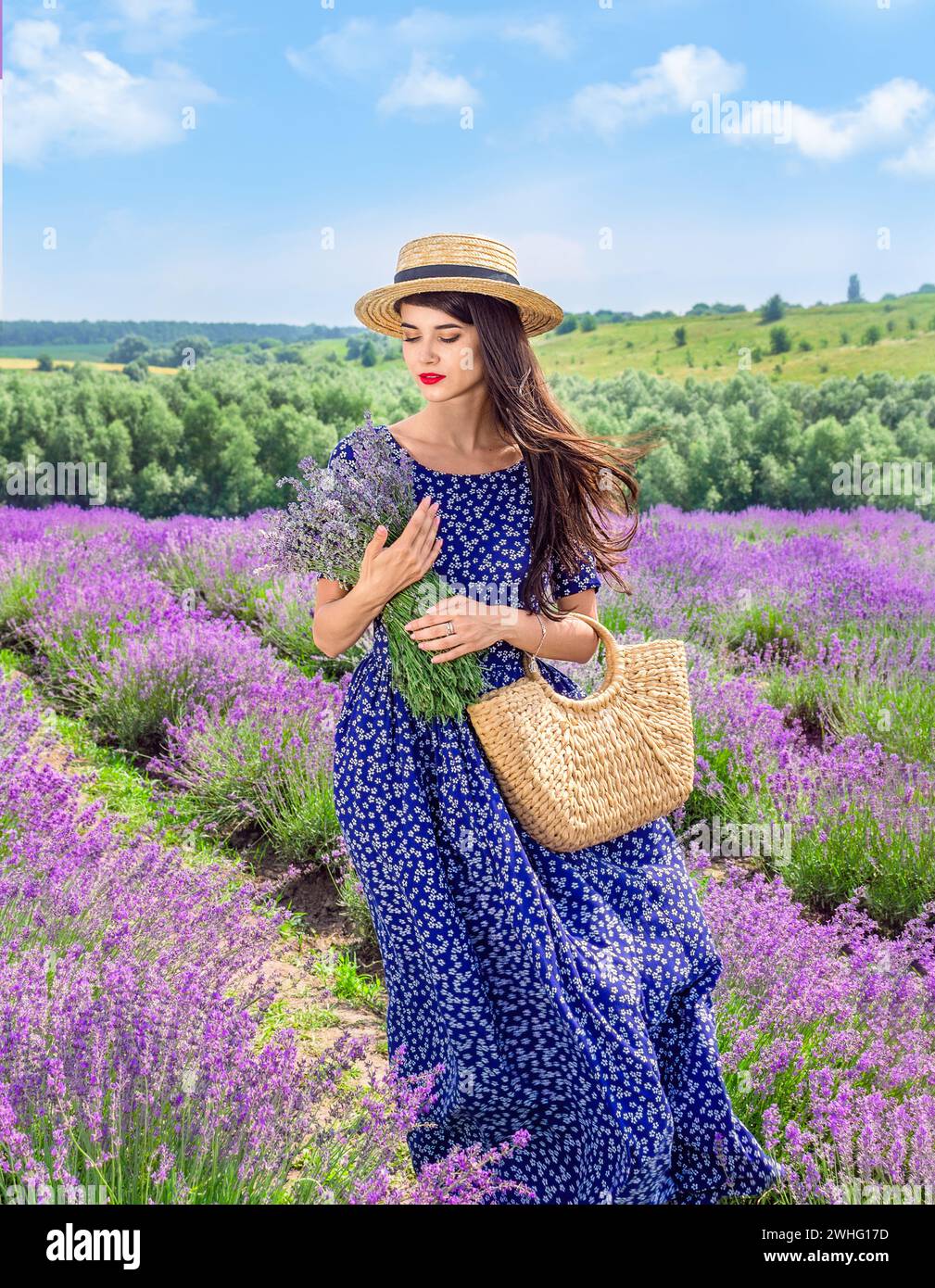 Belle jeune femme en chapeau sur le champ de lavande Banque D'Images