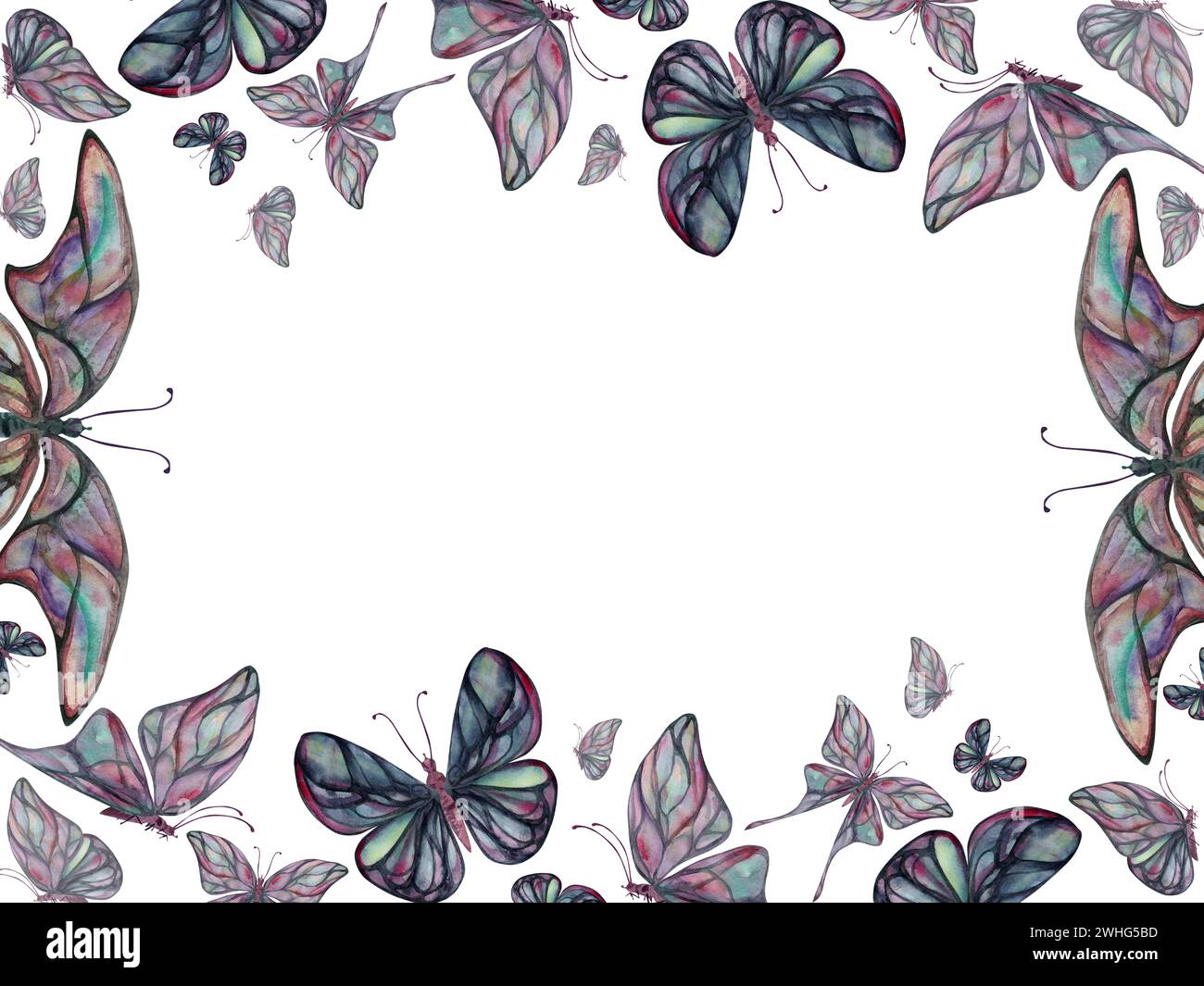 Illustration aquarelle dessinée à la main papillon fée ailes gemme cristal insecte papillon de nuit. Opale labradorite perle tourmaline. Cadre horizontal isolé sur Banque D'Images