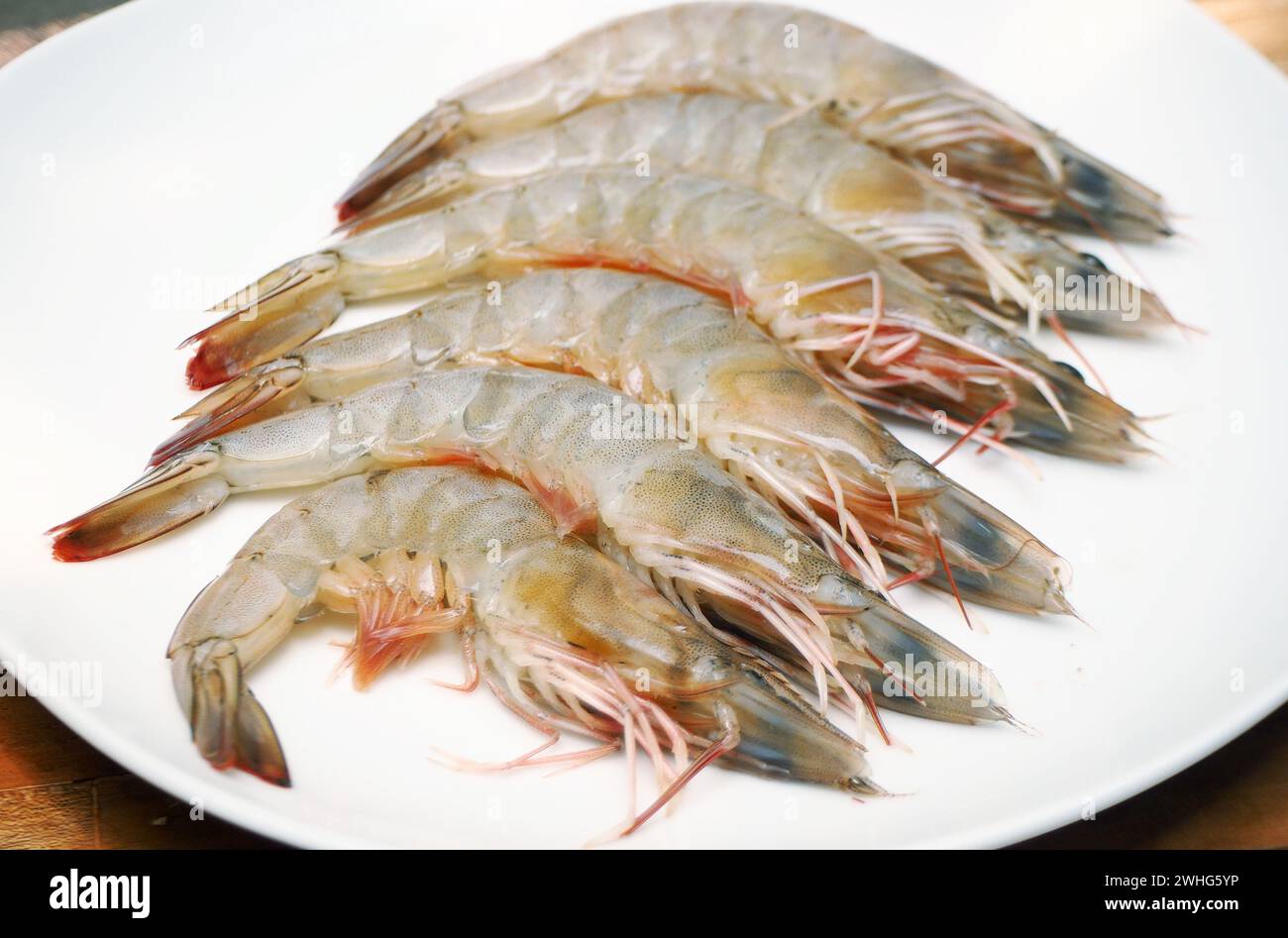 crevettes de fruits de mer crues délicieuses et fraîches sur une assiette blanche prête pour la cuisson Banque D'Images