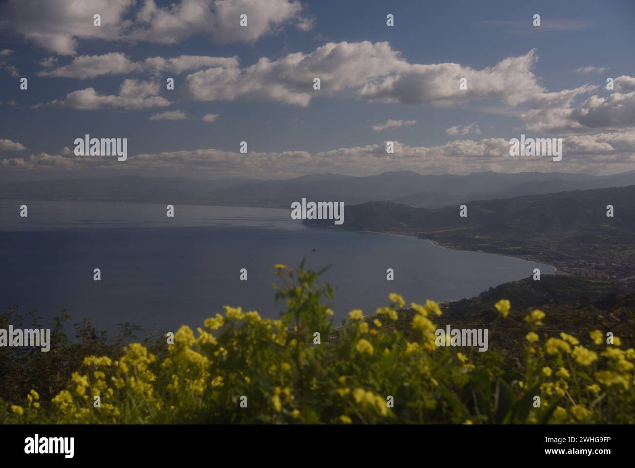 Fleurs printanières jaunes sauvages dans la campagne sicilienne Banque D'Images