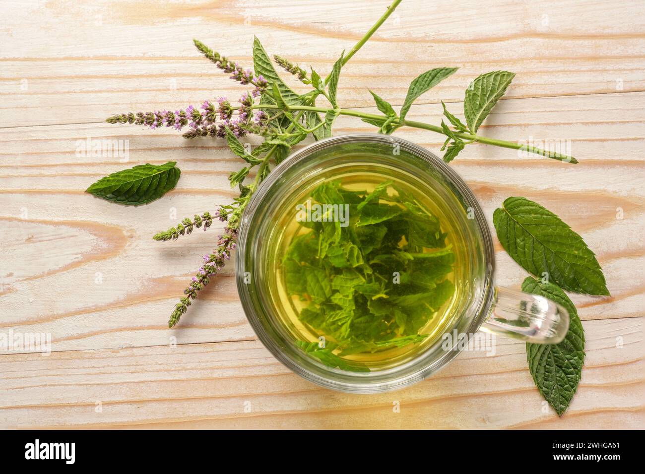 Tisane à base de feuilles de menthe poivrée fraîche dans une tasse en verre et quelques tiges de fleurs sur une table rustique en bois léger, espace de copie, haut Banque D'Images