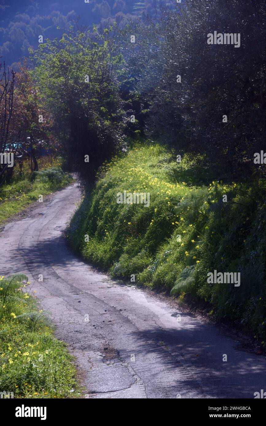 Routes de campagne en Sicile Banque D'Images