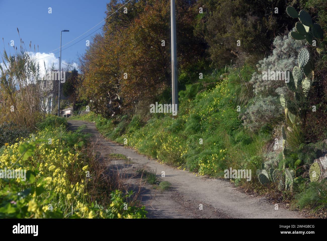 Routes de campagne en Sicile Banque D'Images