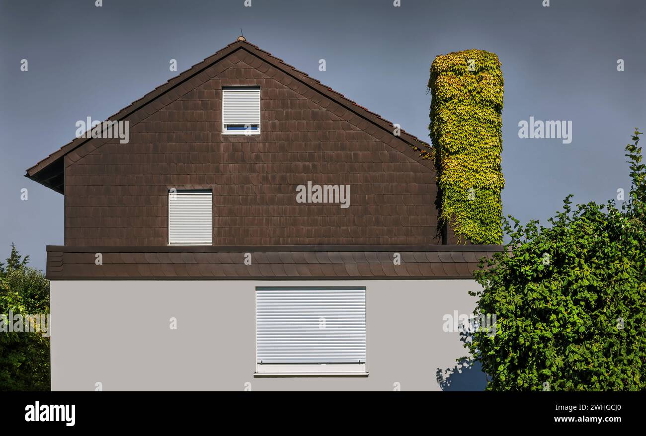 Le mangeur adulte Banque D'Images