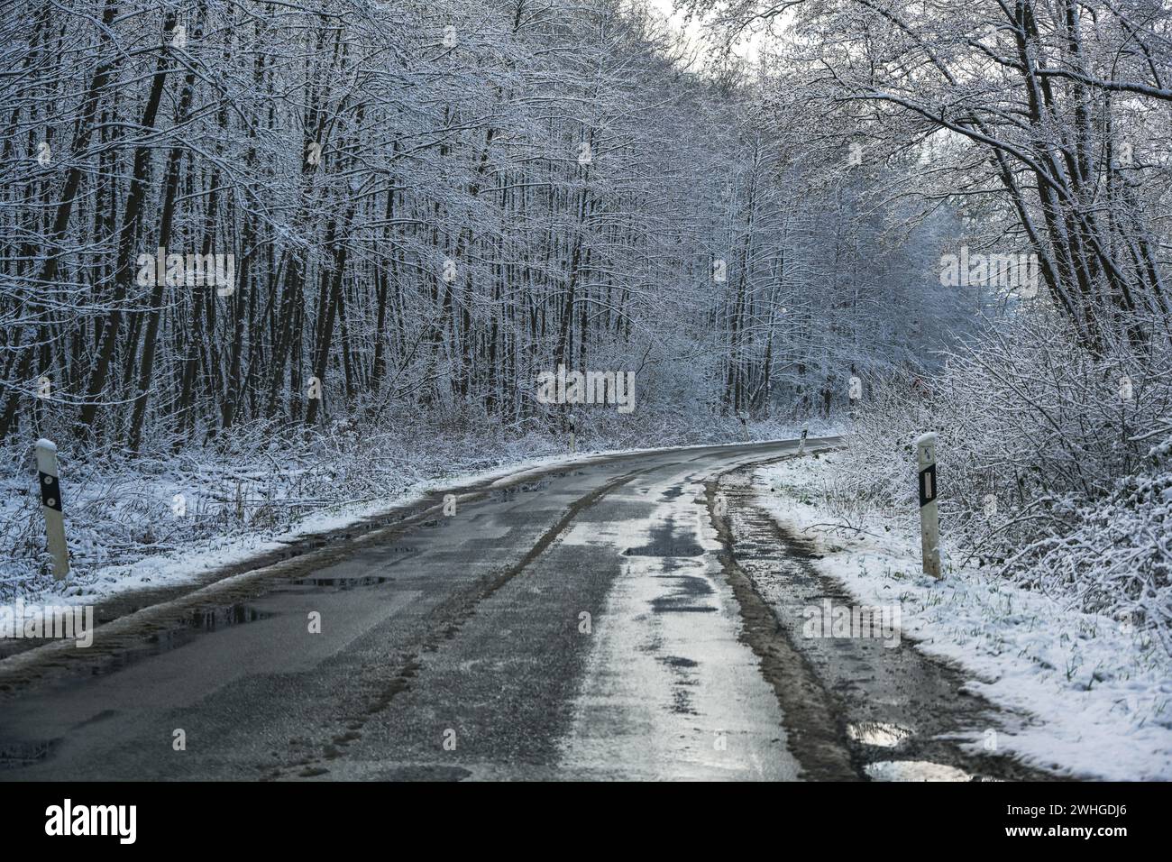 Route de campagne à travers une forêt en hiver, danger sur l'asphalte glissant humide et gelant, trafic et transport concept, co Banque D'Images