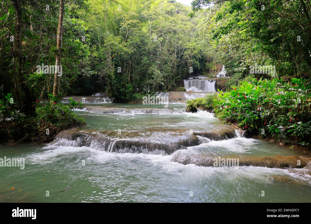 Les cascades YS en Jamaïque, Caraïbes, Amérique. Banque D'Images