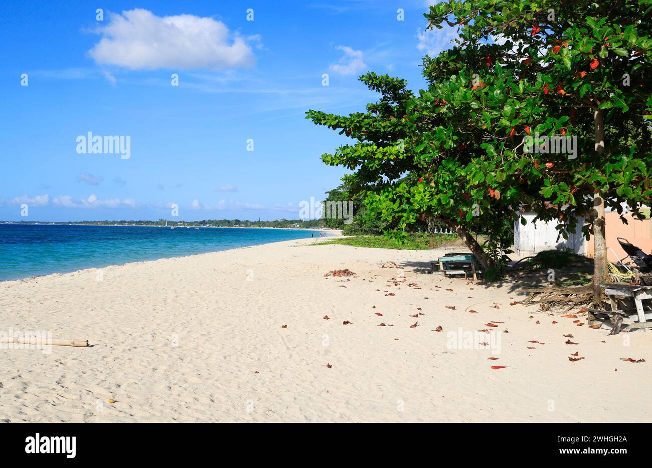 Seven Mile Beach, Negril en Jamaïque, Caraïbes, Amérique centrale Banque D'Images