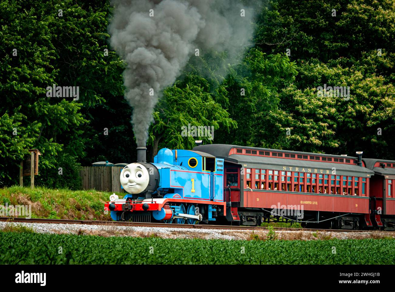 Vue de Thomas le train tirant des voitures de tourisme soufflant de la fumée et de la vapeur Banque D'Images