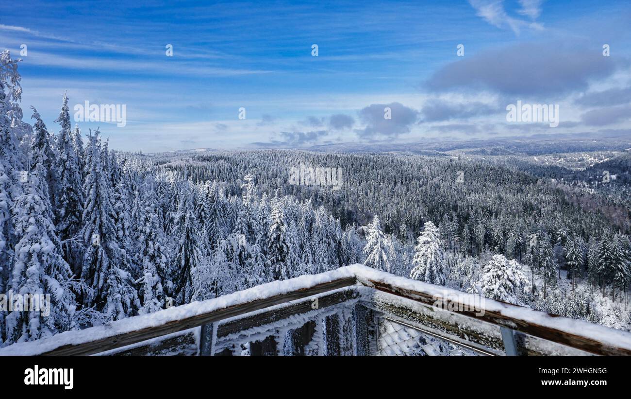 Vue depuis la plate-forme d'observation Ellbachseeblick dans le parc naturel nord de la Forêt Noire Banque D'Images