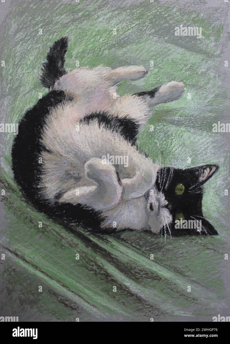 Chat noir et blanc riant couché le ventre (sur son dos) - dessin pastel, fond vert Banque D'Images