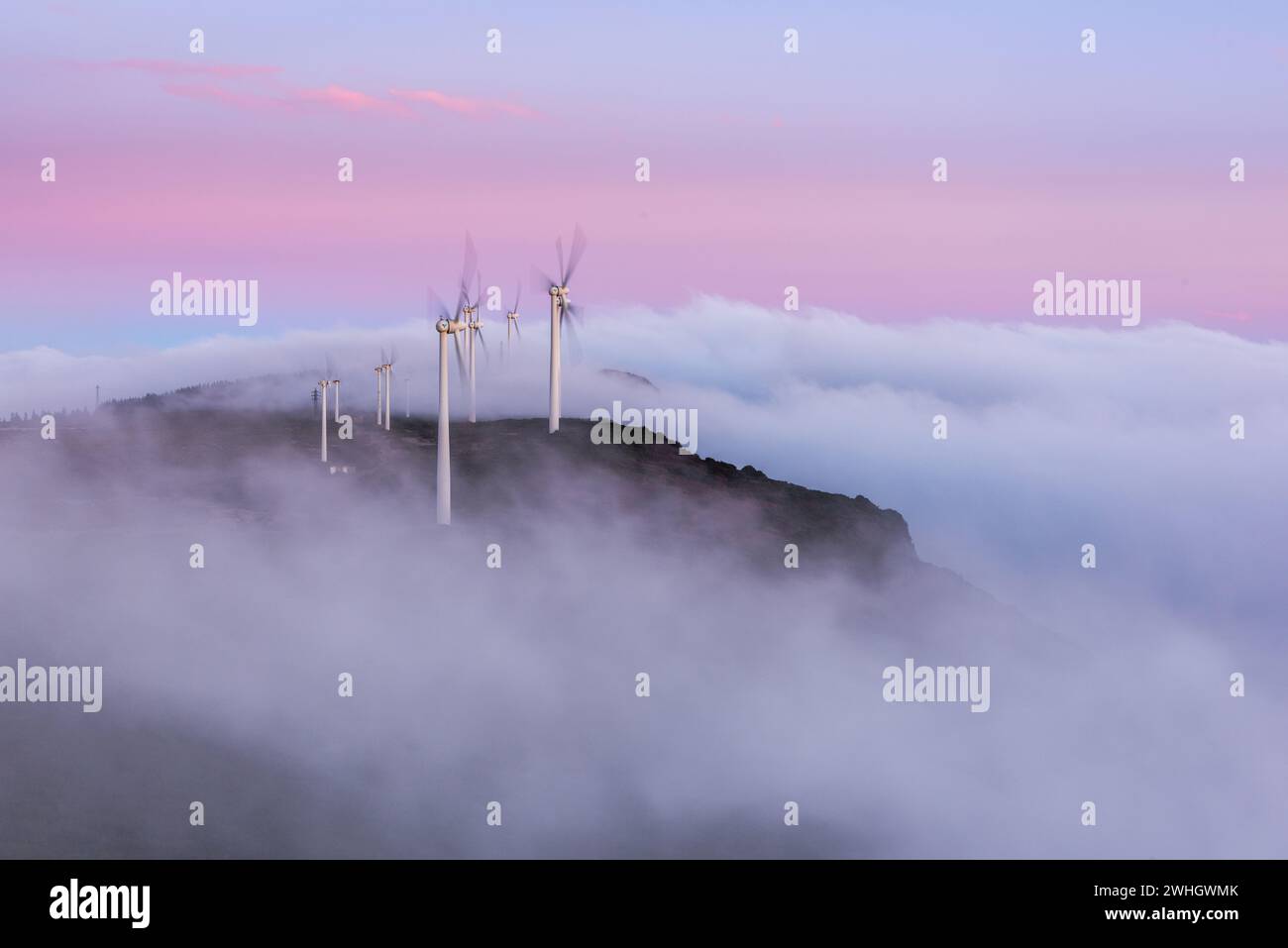 Éoliennes au sommet d'une colline dans le brouillard du matin au lever du soleil Banque D'Images