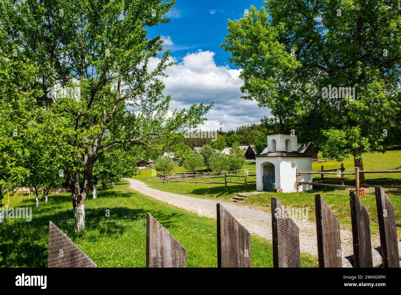 Skansen avec des maisons de village en bois près du château de Sara Lubovna en Slovaquie en été Banque D'Images