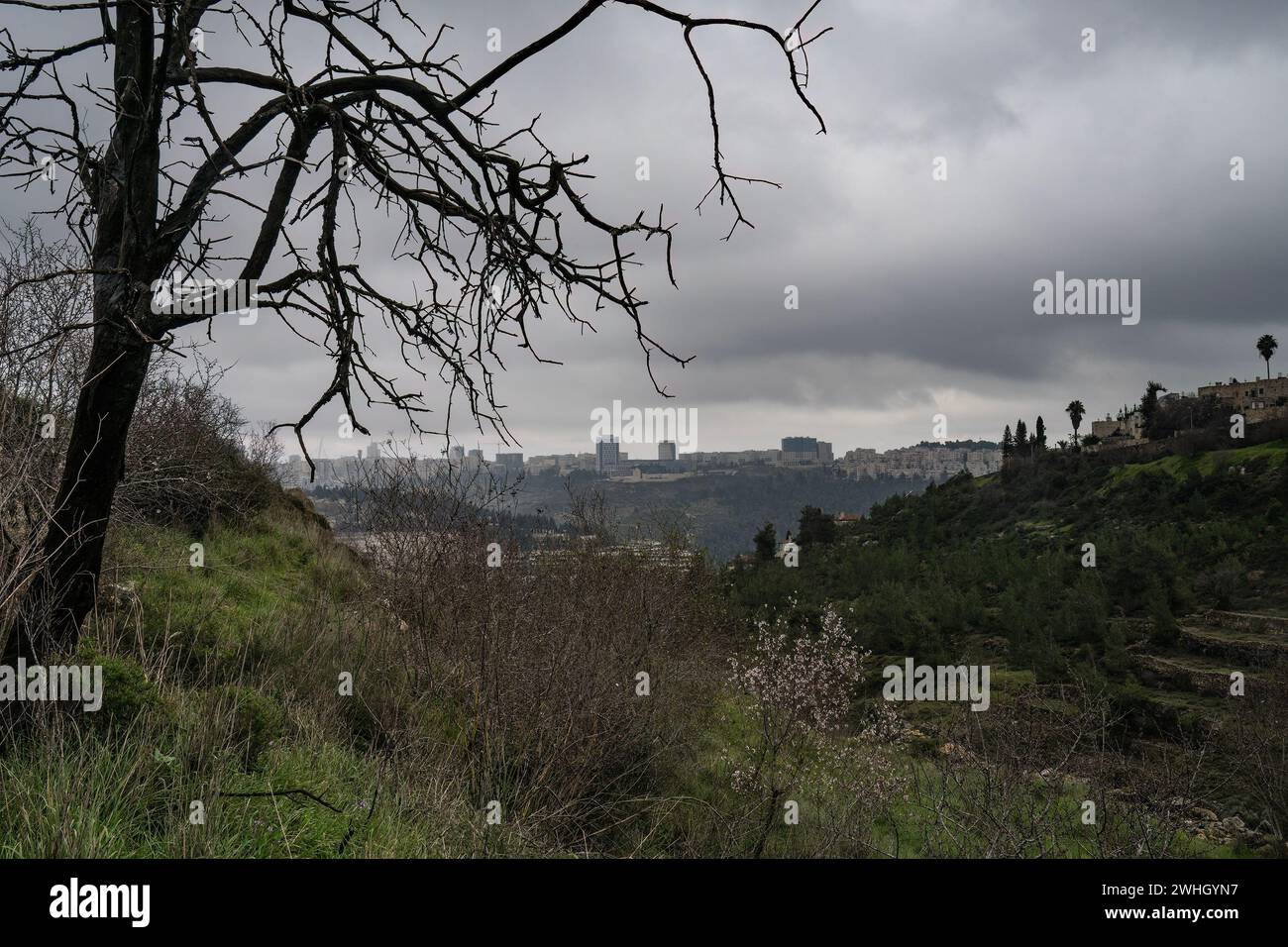 Un jour d'hiver orageux, couvert et brumeux sur Jérusalem, Israël et les montagnes de Judée. Des amandiers et des pins et des terrasses agricoles couvrent le mountai Banque D'Images