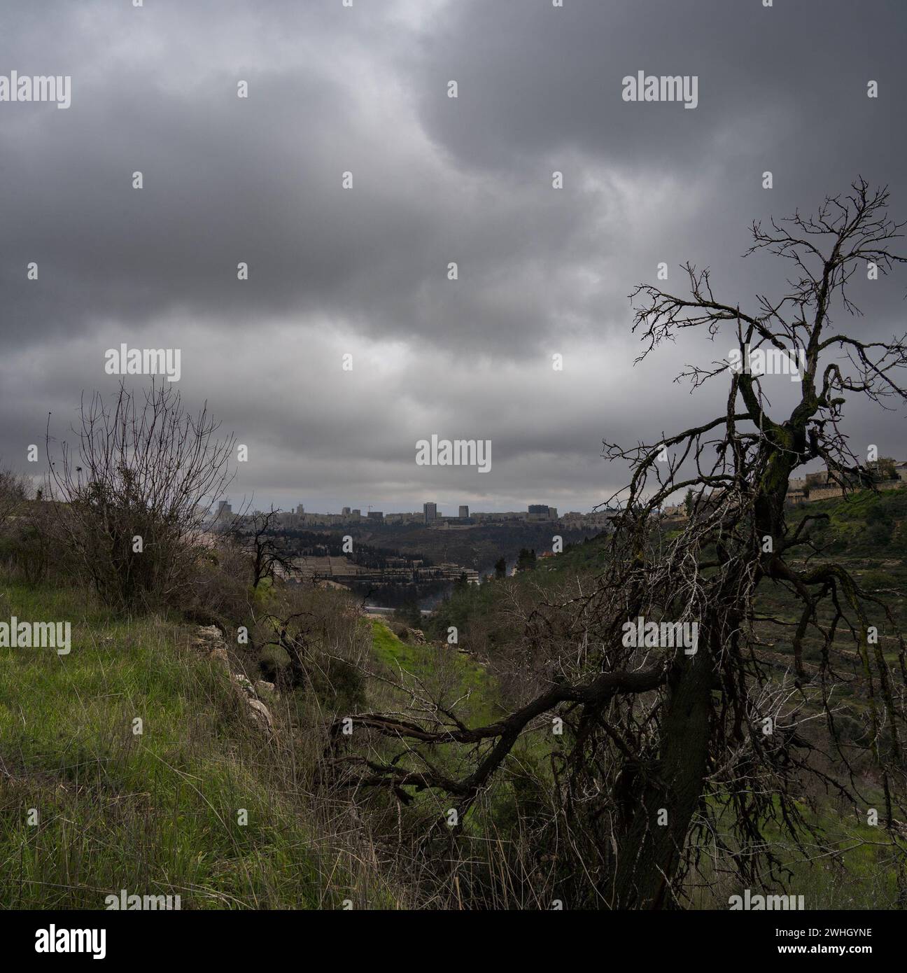 Un jour d'hiver orageux, couvert et brumeux sur Jérusalem, Israël et les montagnes de Judée. Des amandiers et des pins et des terrasses agricoles couvrent le mountai Banque D'Images