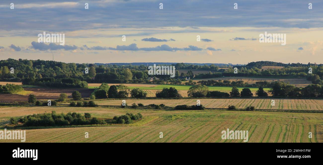 Champs vert clair. Paysage rural à Naestved, Danemark. Banque D'Images