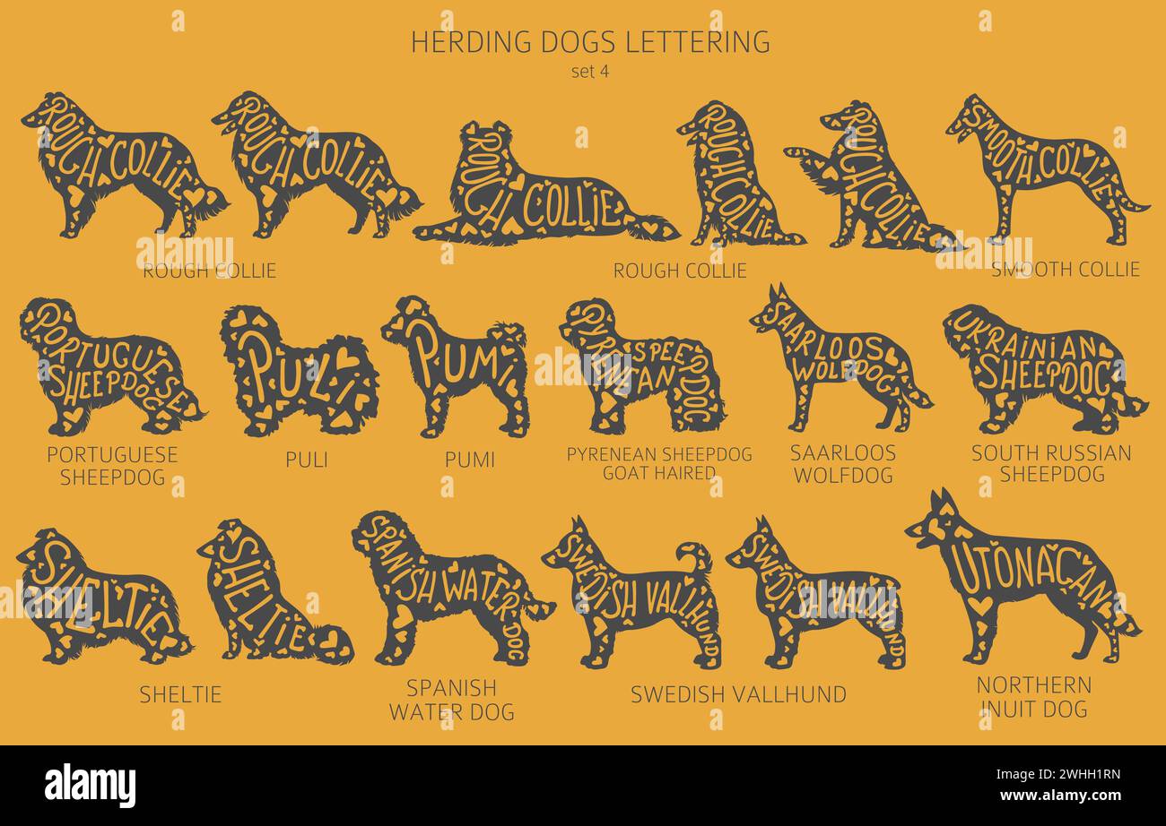 Chien élève des silhouettes avec lettrage, clipart de style simple. Chiens de troupeau, chien de berger, collection de bergers. Illustration vectorielle Illustration de Vecteur