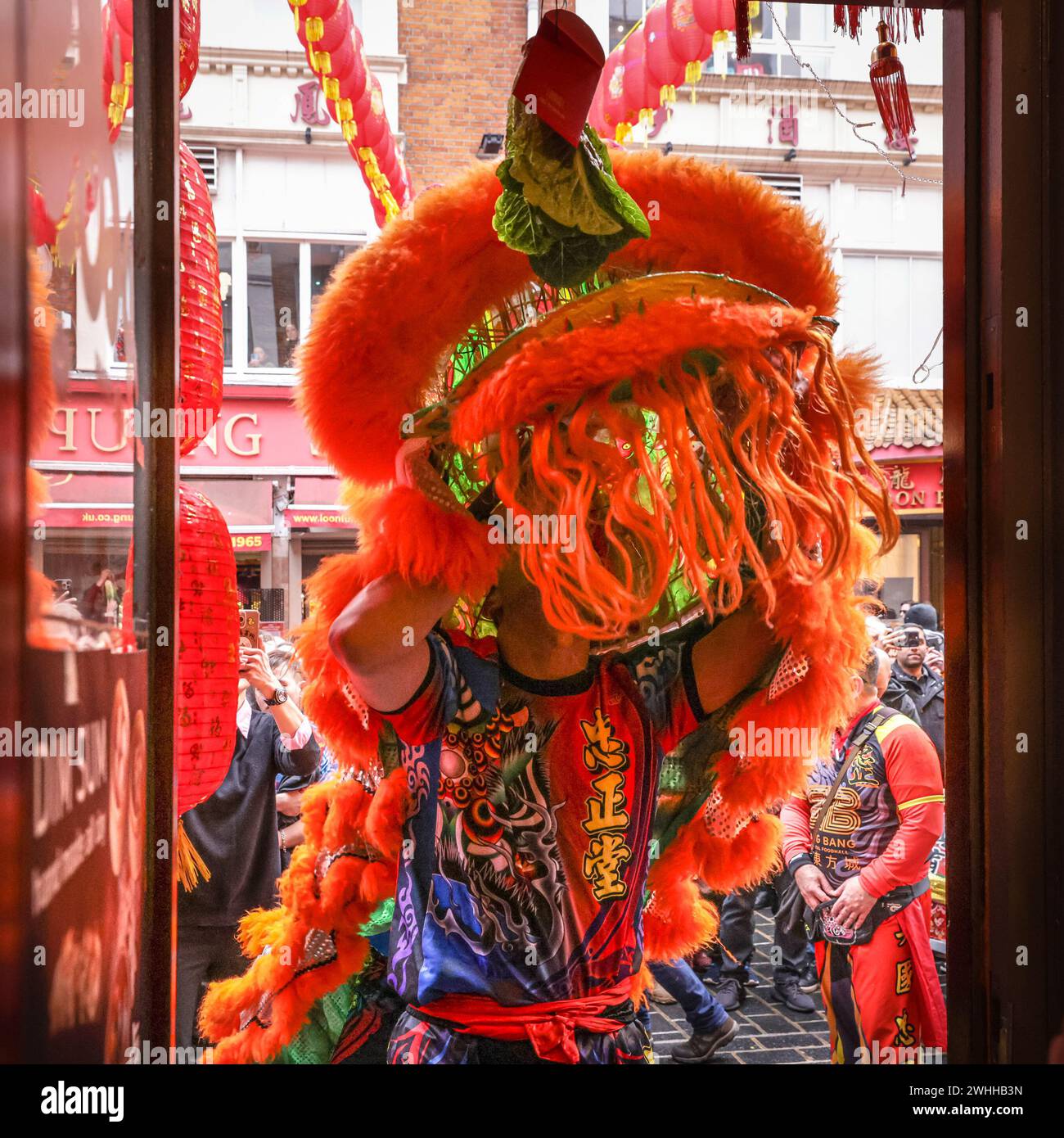 Londres, Royaume-Uni. 10 février 2024. Les magasins et les restaurants chinois accrochent le chou, ce qui représente la prospérité, comme une offrande au lion, qui mange le chou et danse, nous espérons apporter chance et prospérité à l'entreprise. Une danse du lion fait partie des célébrations du nouvel an chinois dans Chinatown et Soho à Londres. Les célébrations se poursuivront le samedi et le dimanche avec des spectacles traditionnels, un défilé (le dimanche) et des décorations colorées. 2024 est l'année du Dragon dans le calendrier chinois. Crédit : Imageplotter/Alamy Live News Banque D'Images