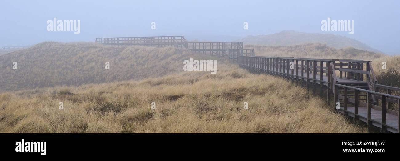 Pont piétonnier à la Dune Banque D'Images