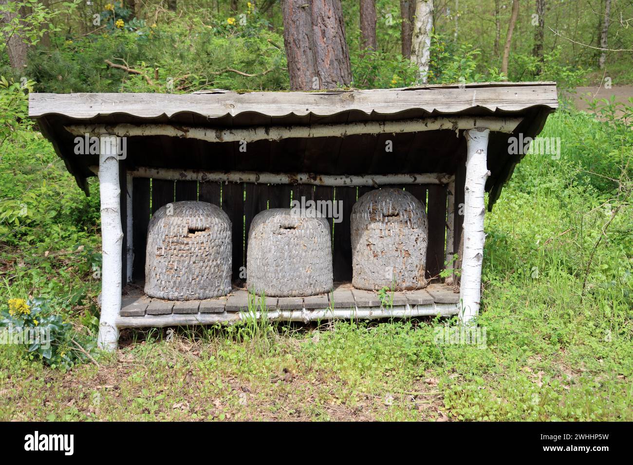 Trois ruches traditionnelles Banque D'Images