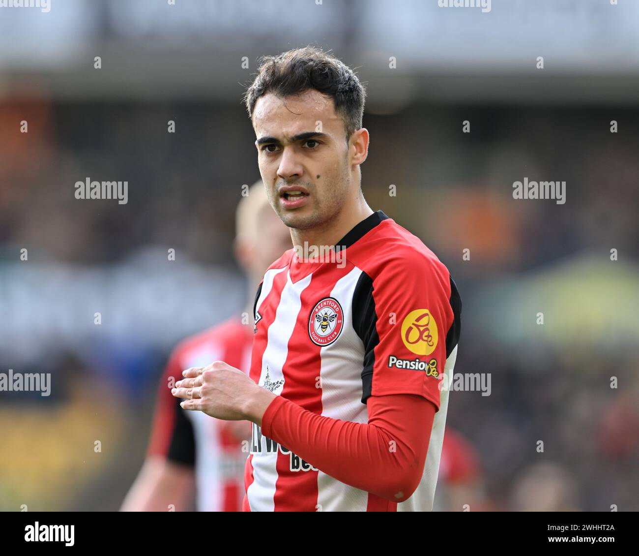 Wolverhampton, Royaume-Uni. 10 février 2024. Sergio Reguilón de Brentford, lors du match de premier League Wolverhampton Wanderers vs Brentford à Molineux, Wolverhampton, Royaume-Uni, le 10 février 2024 (photo de Cody Froggatt/News images) à Wolverhampton, Royaume-Uni le 2/10/2024. (Photo de Cody Froggatt/News images/Sipa USA) crédit : Sipa USA/Alamy Live News Banque D'Images