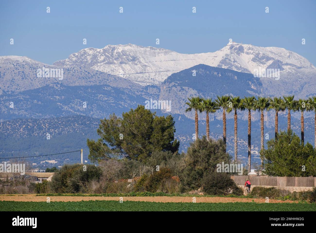 Puig de Massanella enneigé vu du village de Santa Eugenia Banque D'Images
