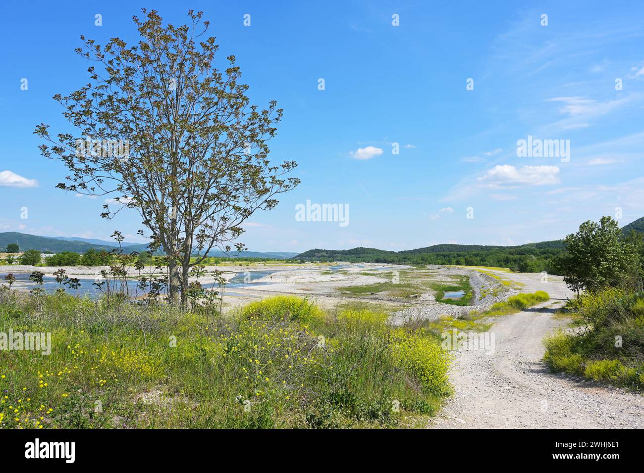Lit sec de la rivière Pinios, l'un des plus longs fleuves de Grèce, maintenant avec peu d'eau après la chaleur et la sécheresse, effet potentiel de Banque D'Images