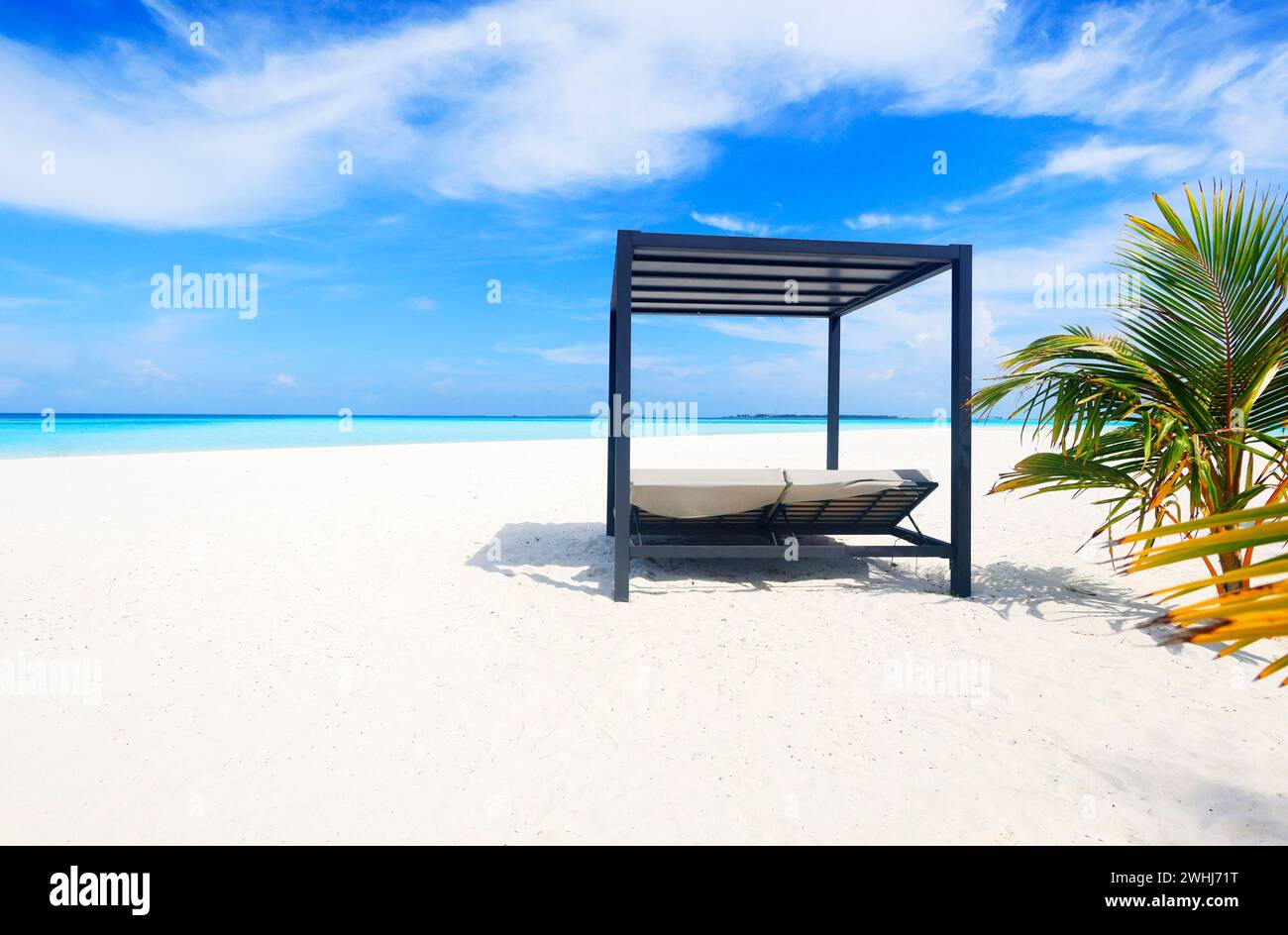 Plage idyllique avec palmiers aux Maldives, océan Indien Banque D'Images