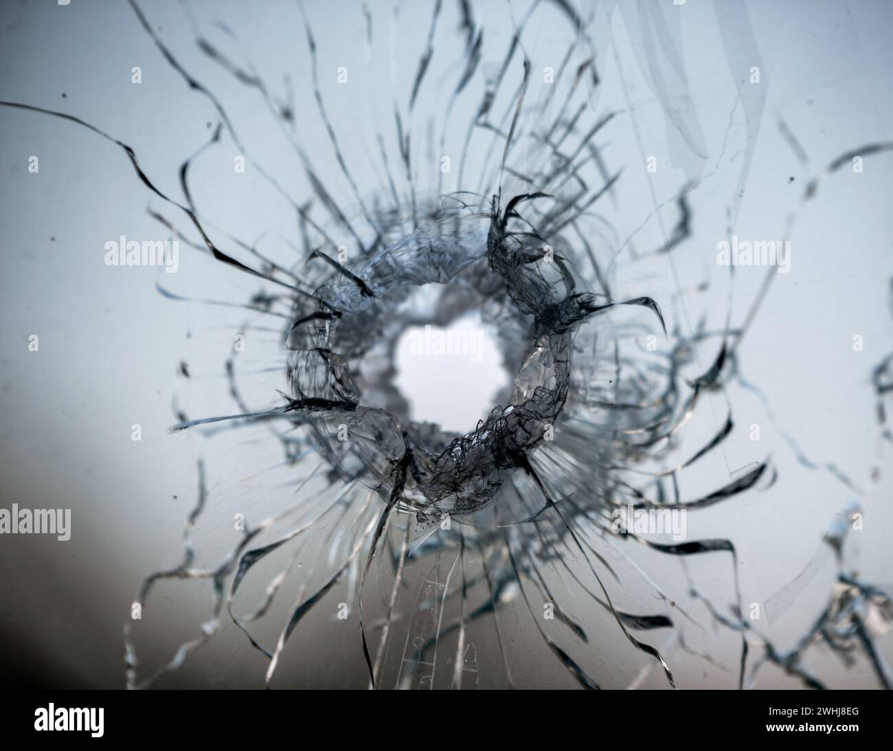Trou de balle dans la vitre fissurée Banque D'Images