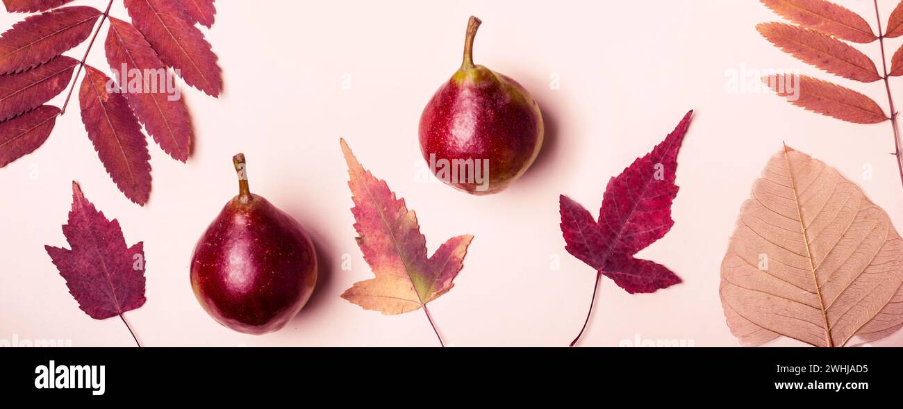 Composition naturelle de rose à sec des feuilles et les poires sur fond rose. Concept la récolte d'automne. Banque D'Images