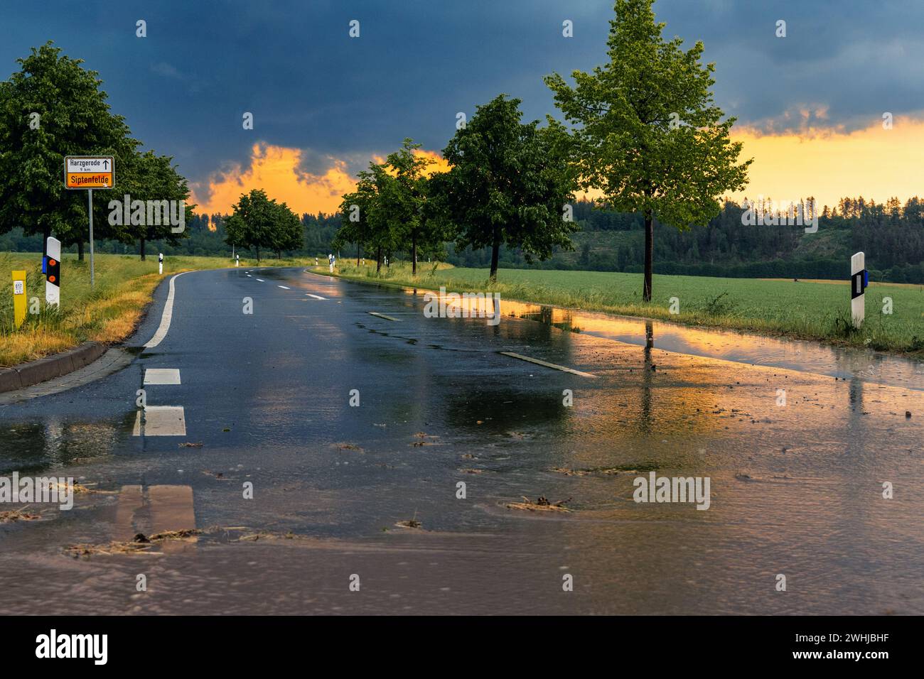 Orages réglant la route pluvieuse Banque D'Images