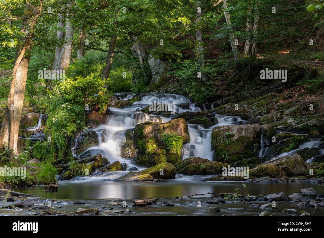Photos de la cascade de Selke dans la vallée de Selke Harz près d'Alexisbad Harzgerode Banque D'Images