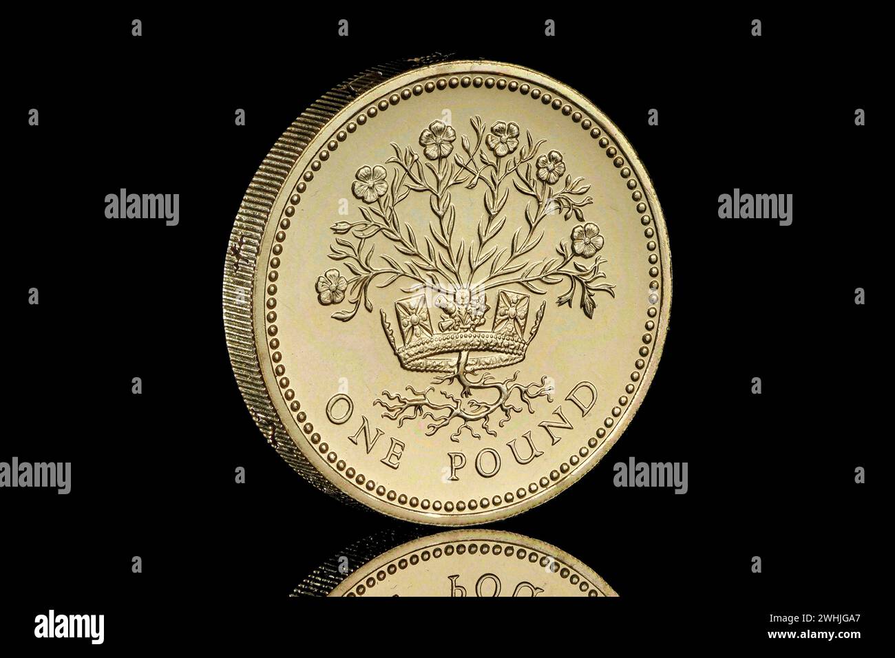 1986 Royaume-Uni pièce de 1 £. Le dessin inversé montre un lin d'Irlande du Nord dans une couronne, par Leslie Durbin L'avers montre la reine Elizabeth II Banque D'Images