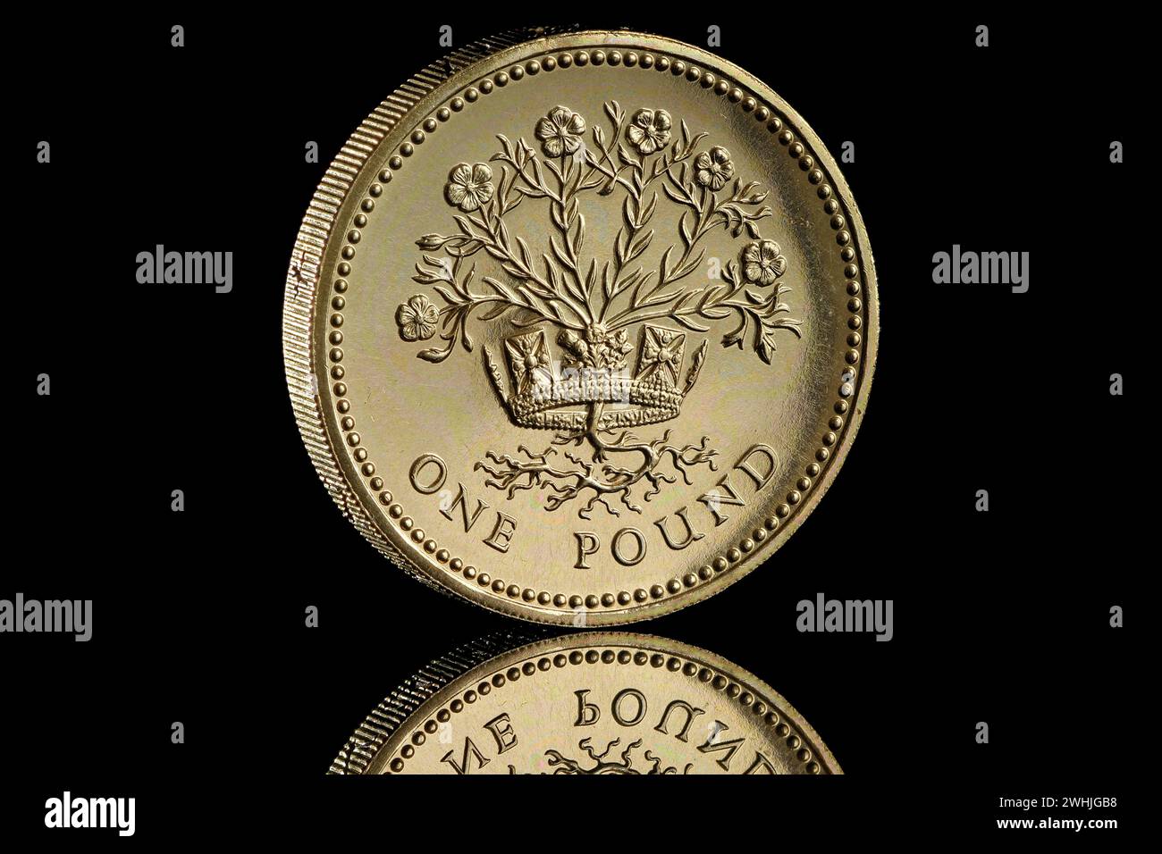 1986 Royaume-Uni pièce de 1 £. Le dessin inversé montre un lin d'Irlande du Nord dans une couronne, par Leslie Durbin L'avers montre la reine Elizabeth II Banque D'Images