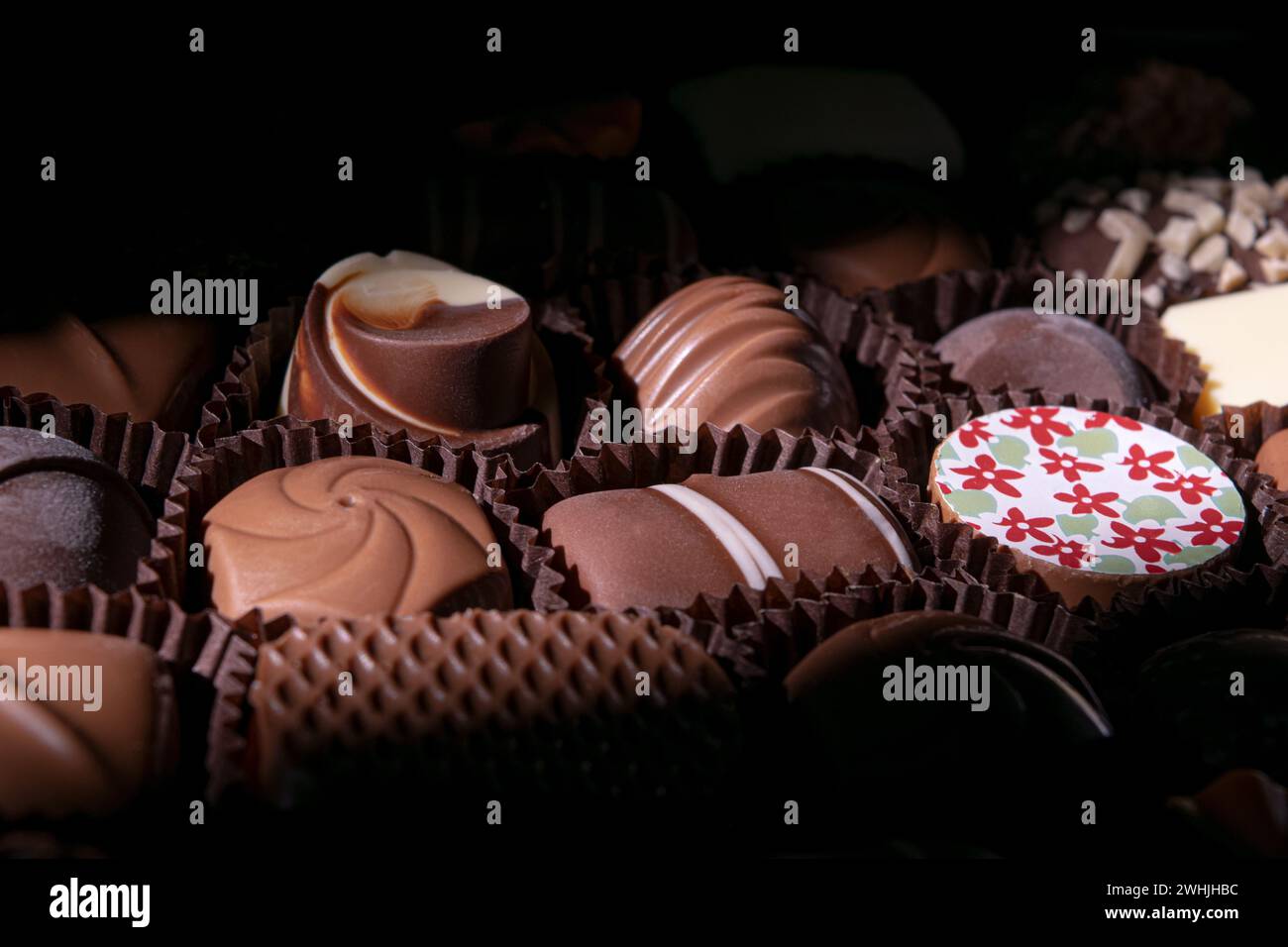 Assortiment de bonbons au chocolat fin Banque D'Images