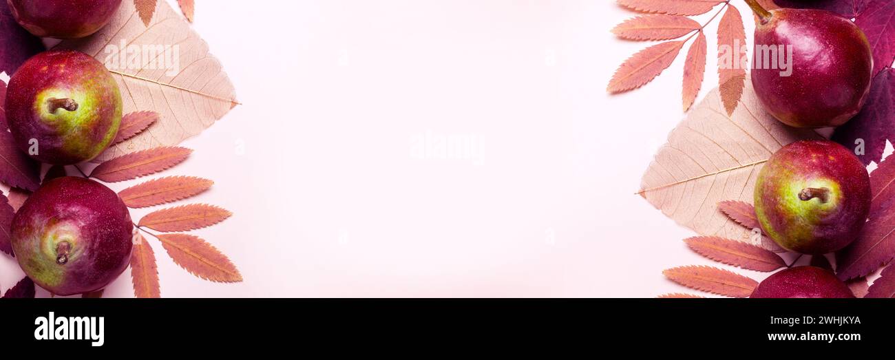 Composition naturelle de rose à sec des feuilles et les poires sur fond rose. Concept la récolte d'automne. Banque D'Images