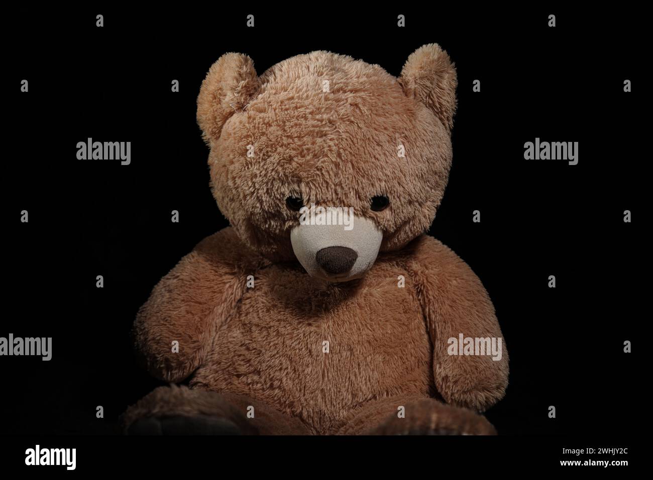 Un ours en peluche brun sur un fond sombre Banque D'Images