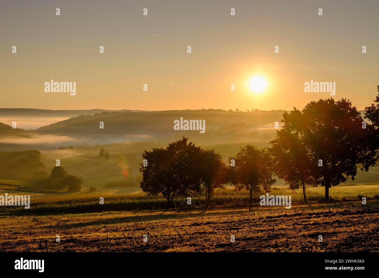Brouillard matinal sur la vallée de Werra, Weissenborn près d'Eschwege, quartier de Werra-Meissner, vallée de Werra, Hesse du Nord, Hesse, Allemagne Banque D'Images